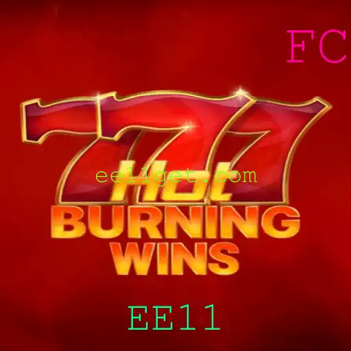 Explorando o universo de HotBurningWins e EE11